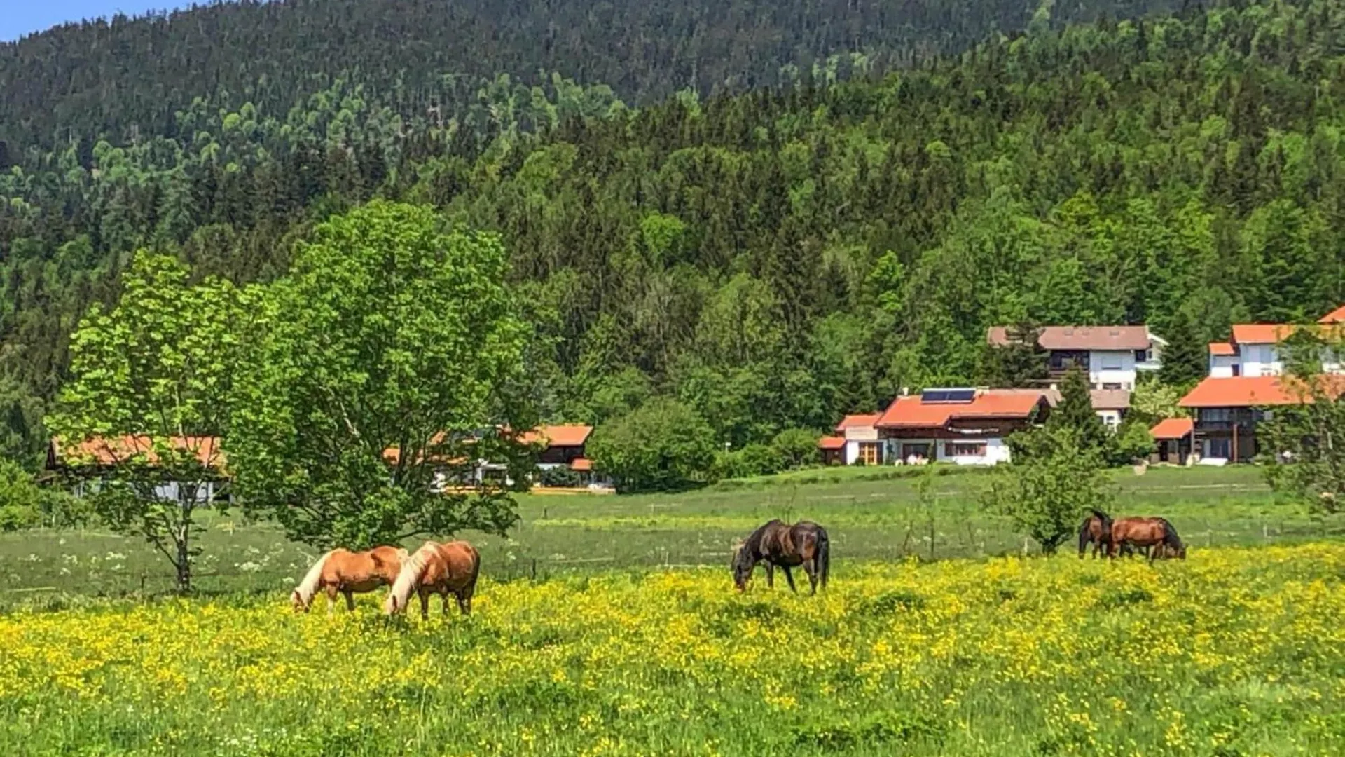 Chalet Chiemgau, Inzell, Cleaning Included 0*, انزل